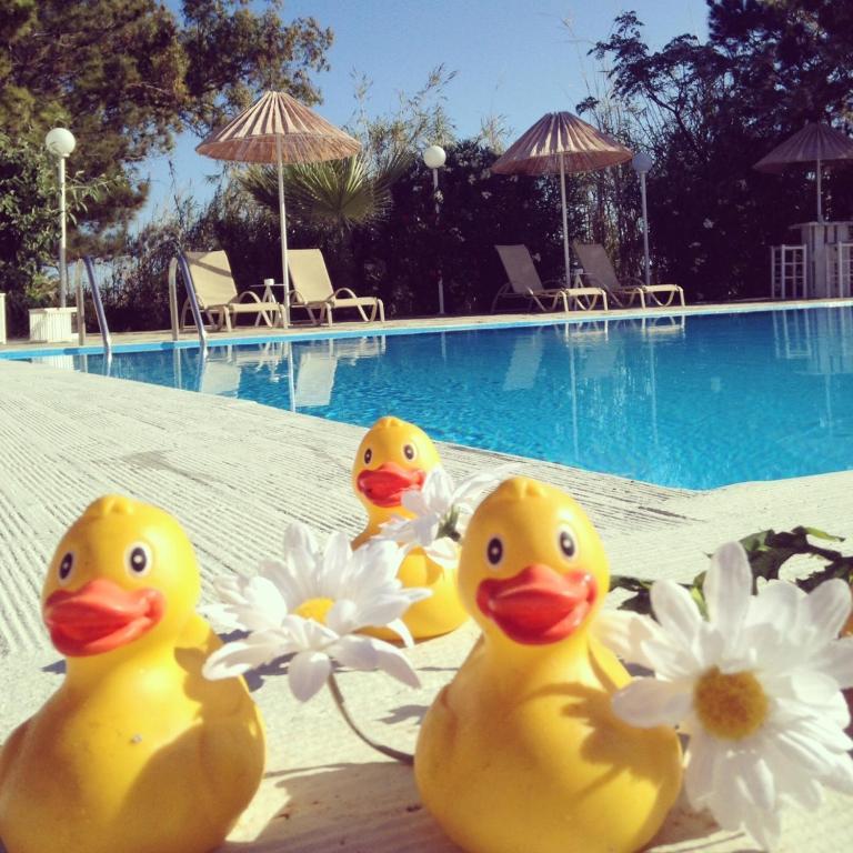 Home Hotel (Adults Only) Χερσόνησος Δωμάτιο φωτογραφία