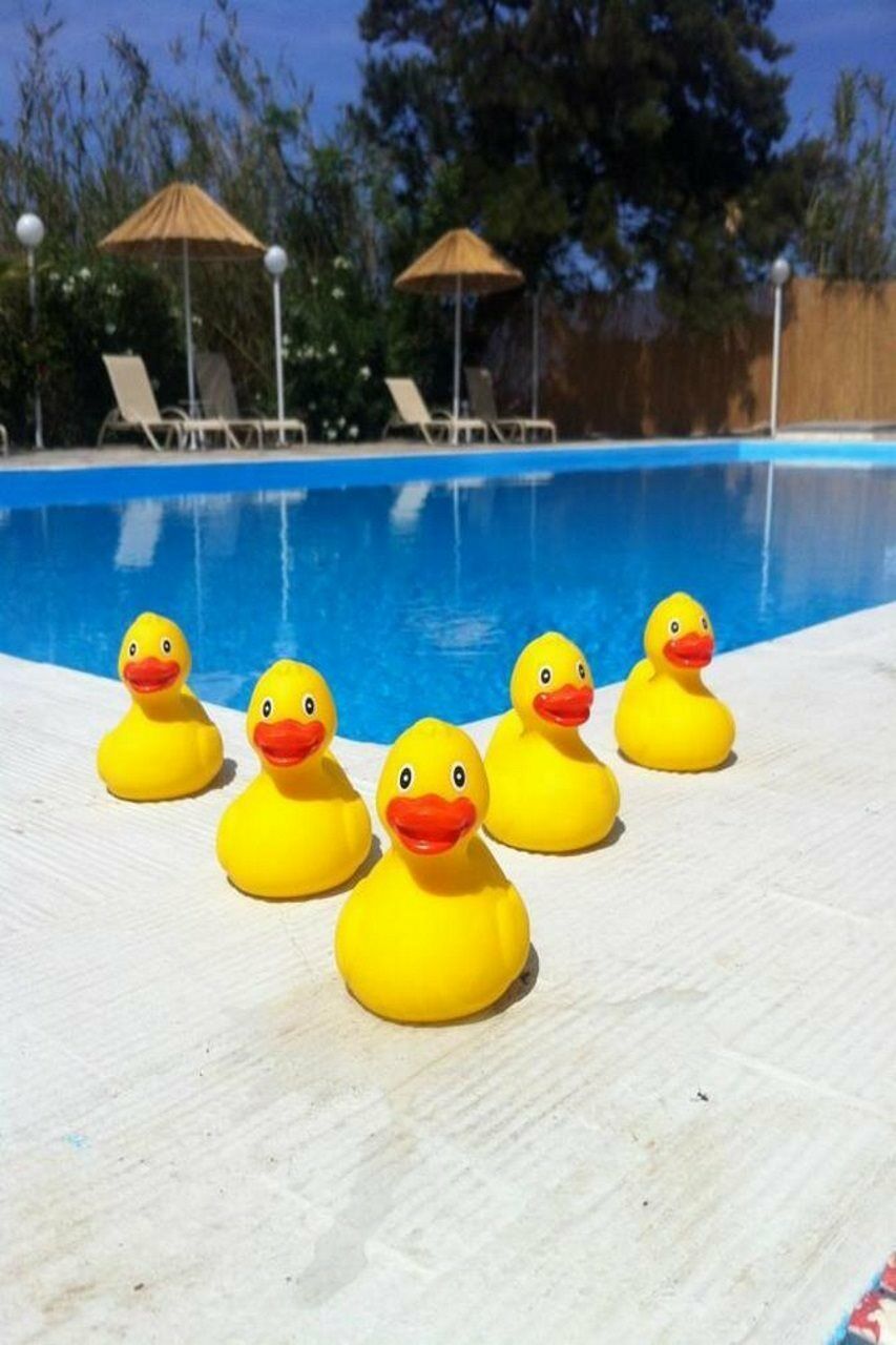 Home Hotel (Adults Only) Χερσόνησος Εξωτερικό φωτογραφία